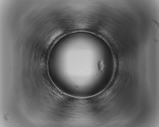 X0000102241210200807251252