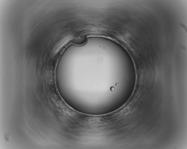 X0000102241211200807251252