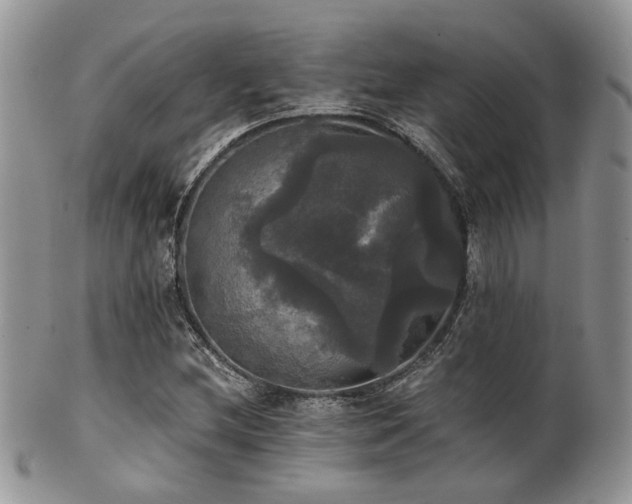 X0000102241212200807251252