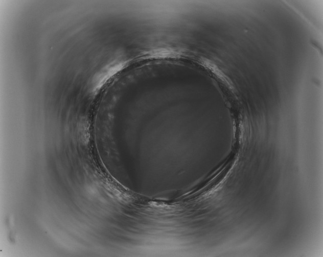 X0000102241213200807251252