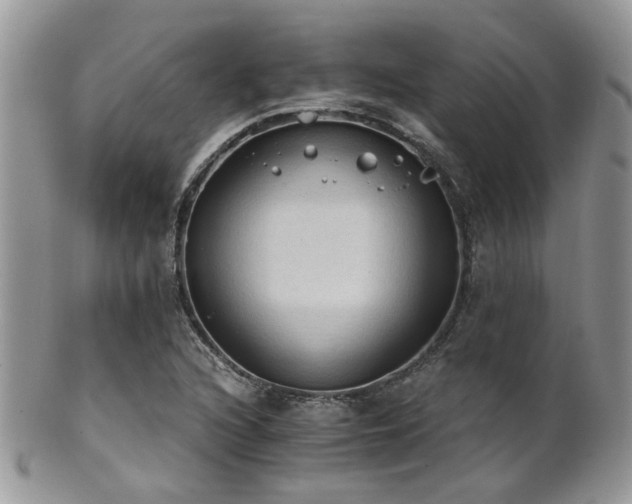 X0000102241216200807251252