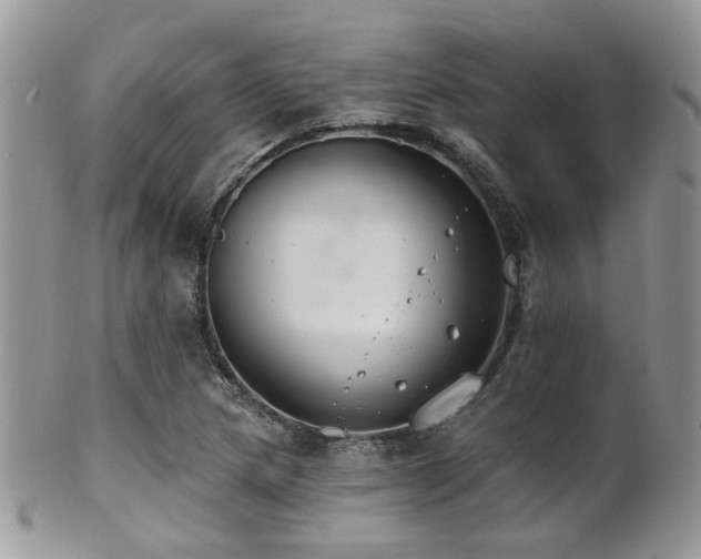 X0000102241217200807251252