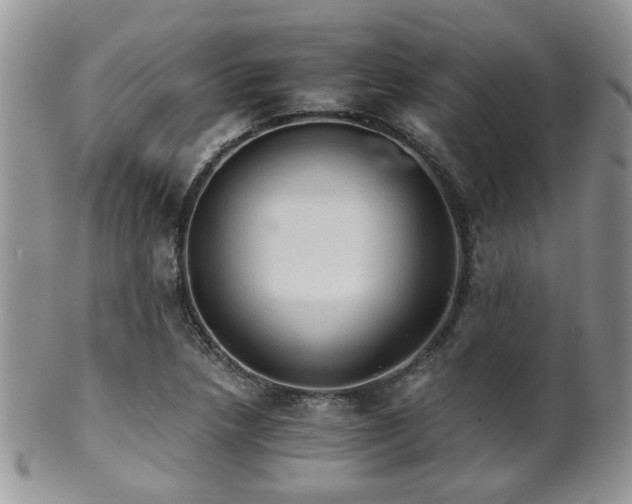 X0000102241218200807251252