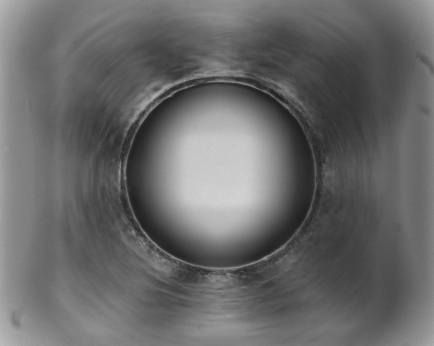 X0000102241220200807251252