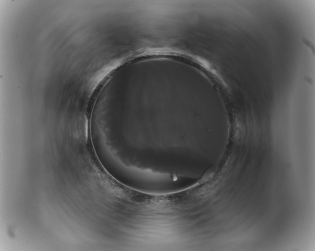 X0000102241221200807251252