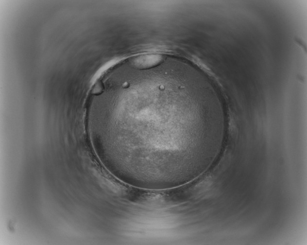 X0000102241222200807251252