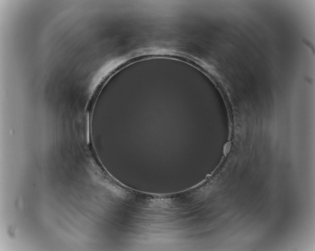 X0000102241223200807251252