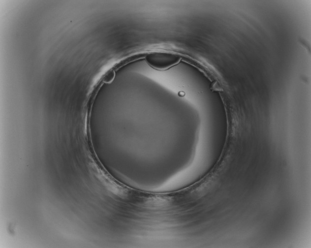 X0000102241224200807251252