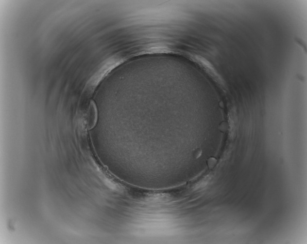 X0000102241225200807251252