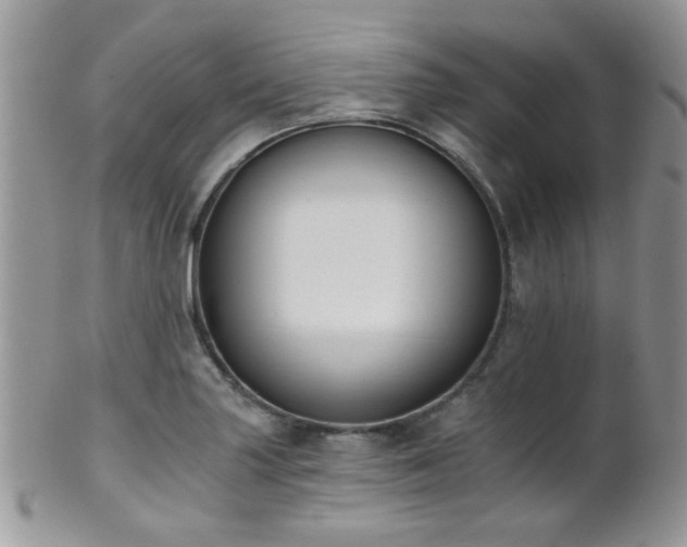 X0000102241227200807251252