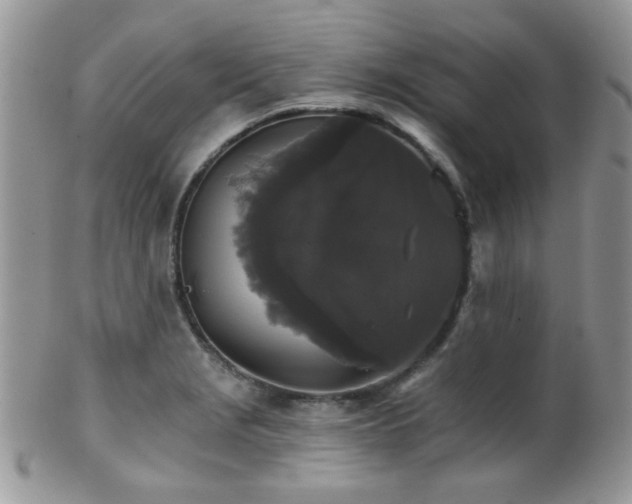 X0000102241229200807251252