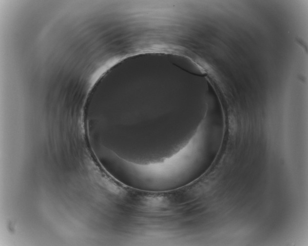 X0000102241230200807251252