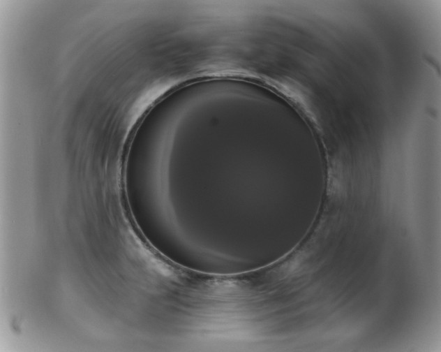 X0000102241231200807251252