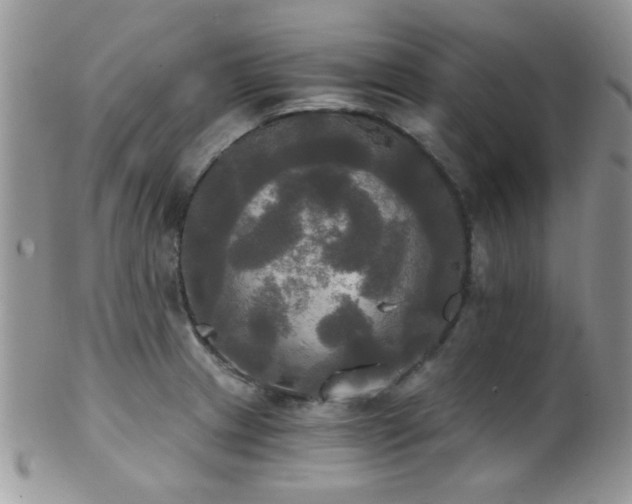 X0000102241233200807251252