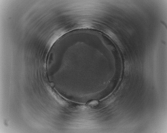 X0000102241234200807251252