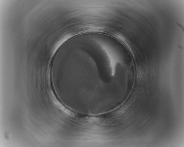 X0000102241235200807251252