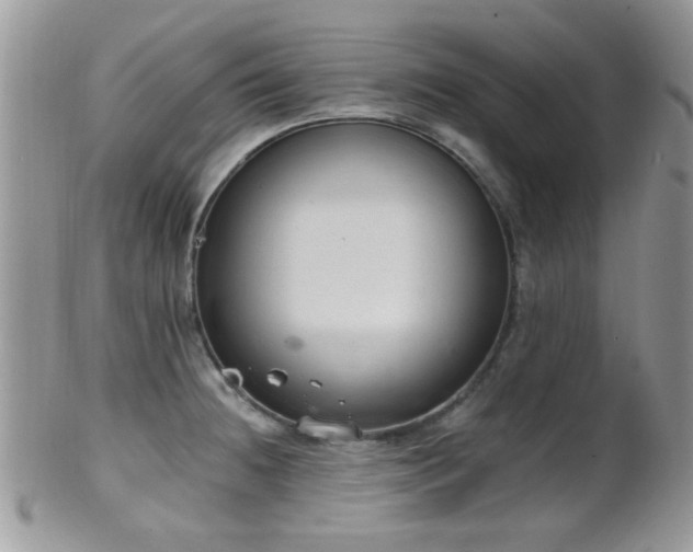 X0000102241236200807251252