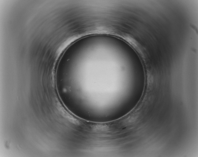 X0000102241238200807251252