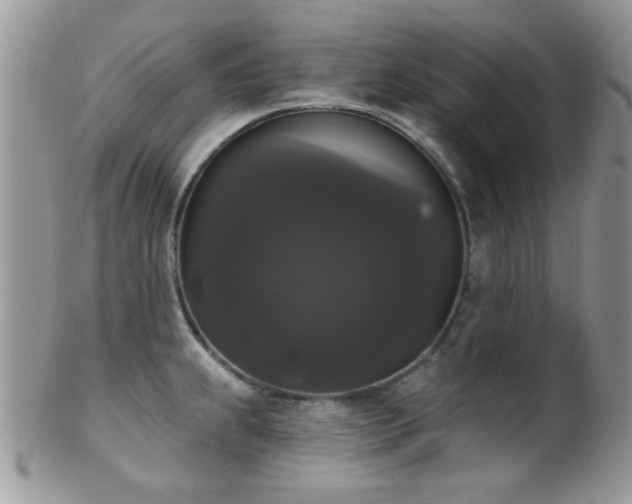 X0000102241239200807251252