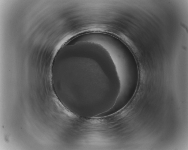 X0000102241240200807251252