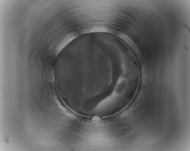 X0000102241241200807251252