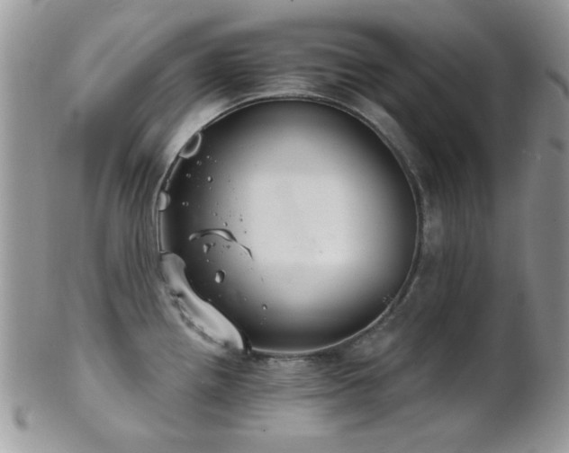 X0000102241242200807251252