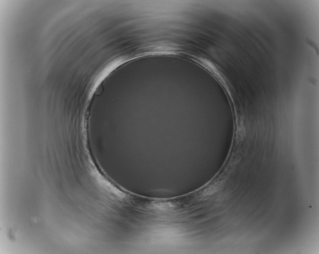 X0000102241243200807251252