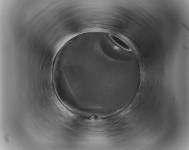 X0000102241244200807251252