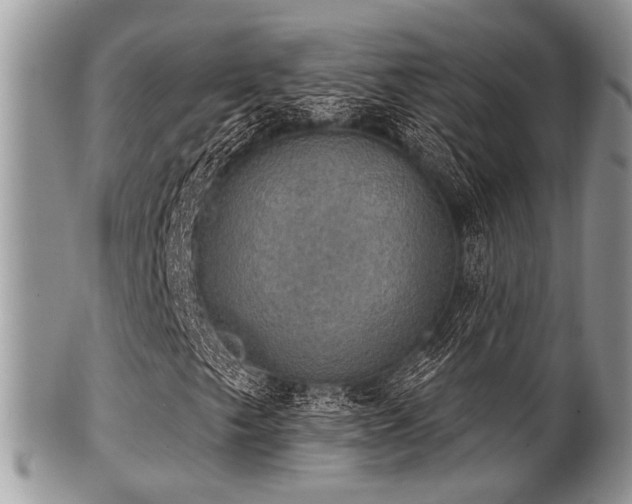 X0000102241249200807251252