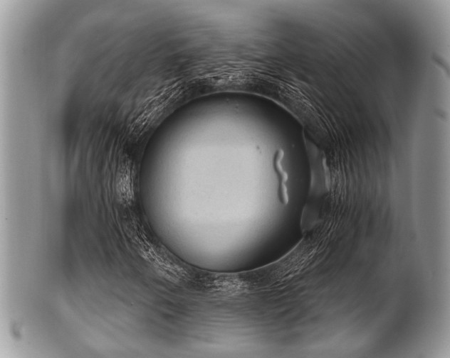 X0000102241250200807251252