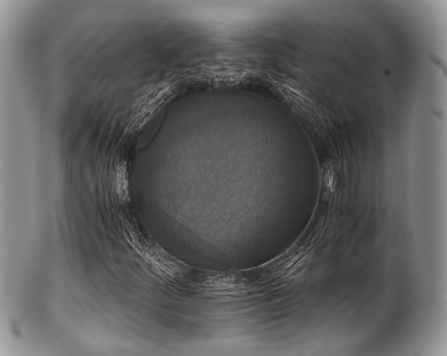 X0000102241252200807251252