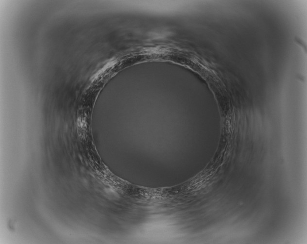 X0000102241254200807251252