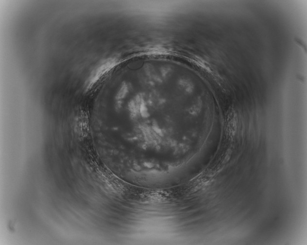 X0000102241255200807251252