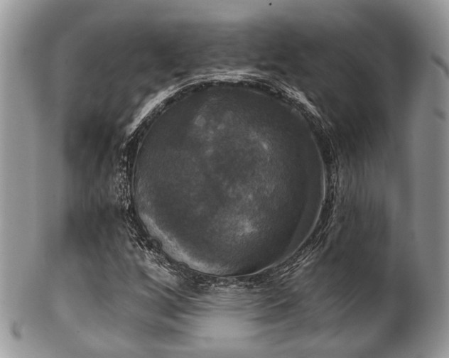 X0000102241256200807251252