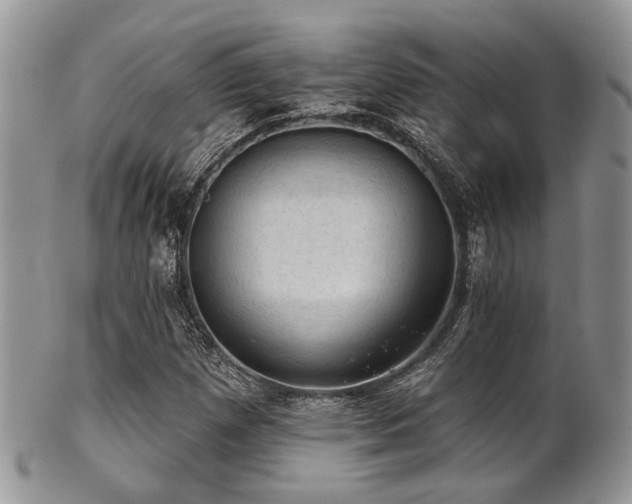 X0000102241257200807251252