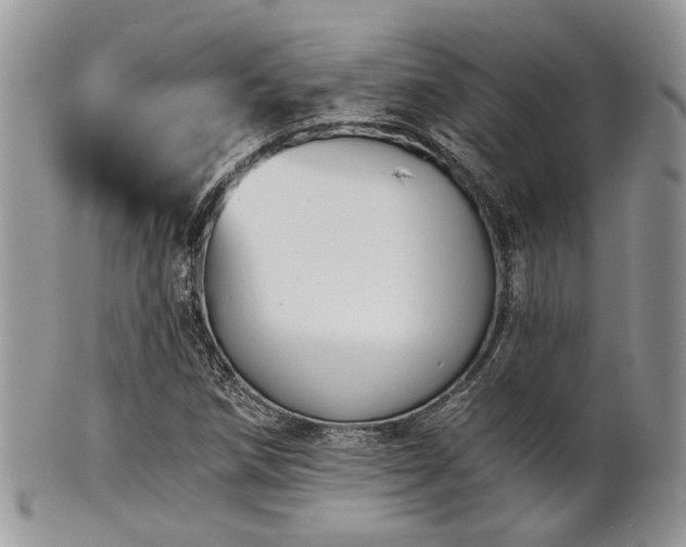 X0000102241258200807251252