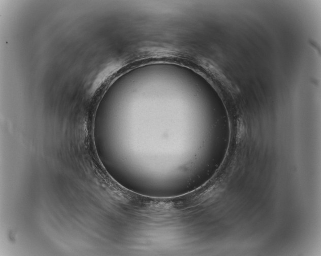 X0000102241261200807251252