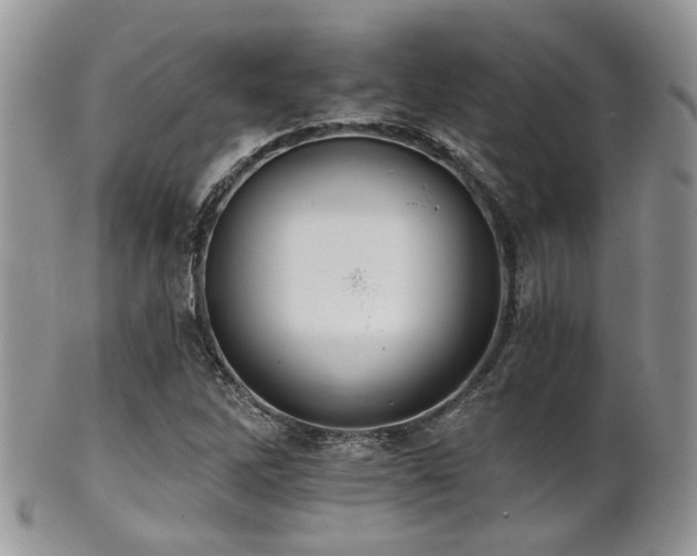 X0000102241262200807251252