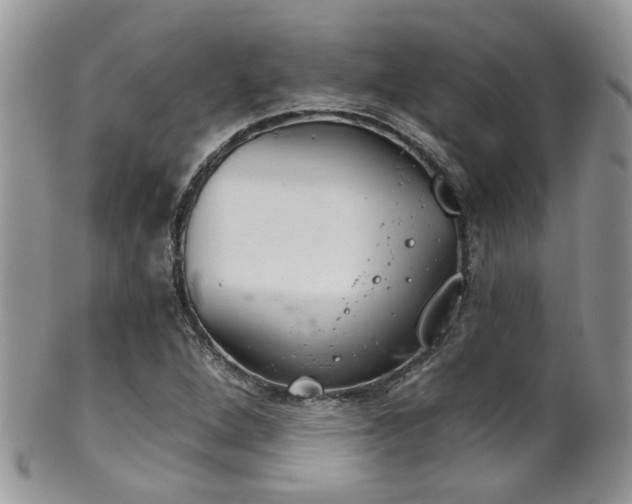 X0000102241264200807251252