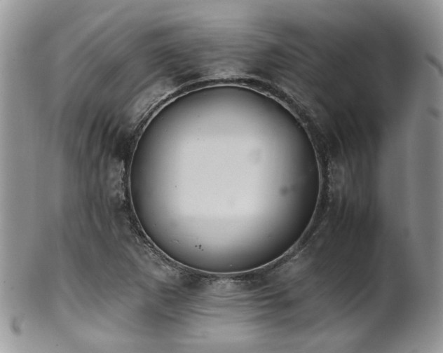 X0000102241265200807251252