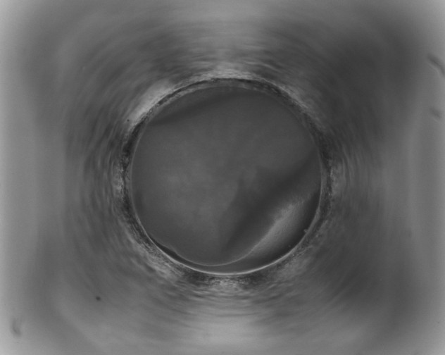 X0000102241266200807251252