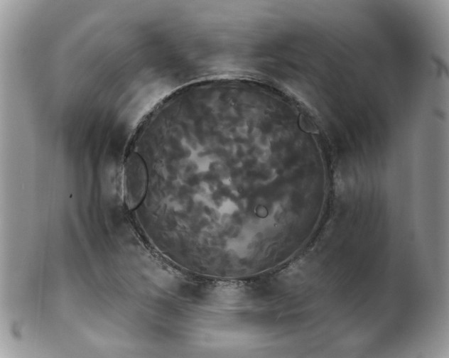 X0000102241267200807251252