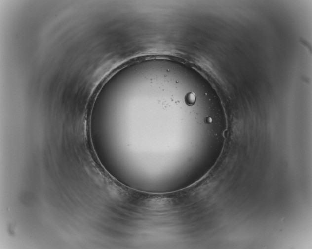 X0000102241268200807251252