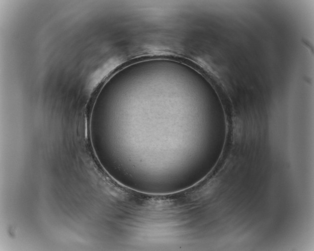 X0000102241269200807251252