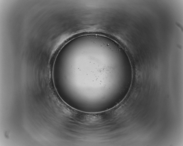 X0000102241270200807251251