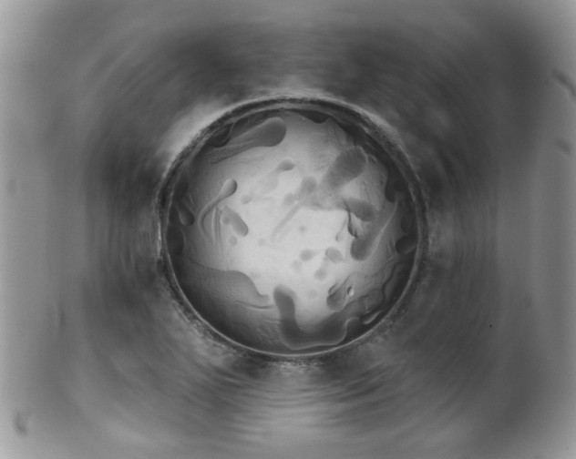 X0000102241271200807251251