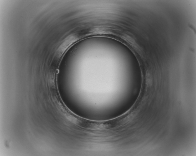 X0000102241273200807251251