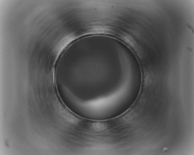 X0000102241275200807251251