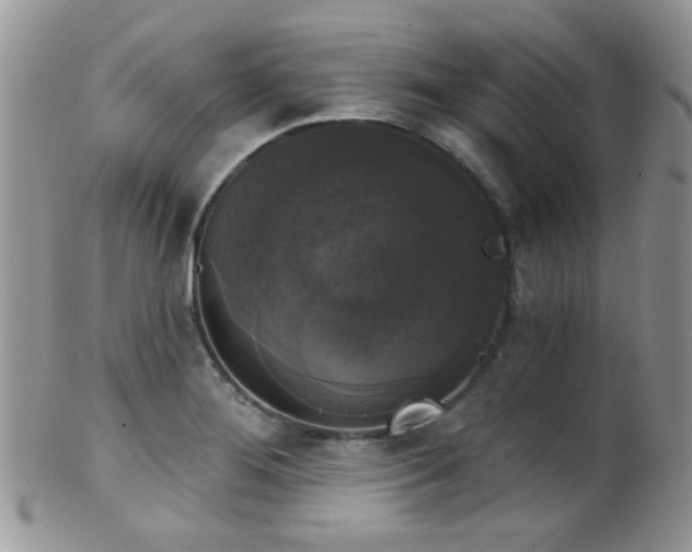 X0000102241276200807251251