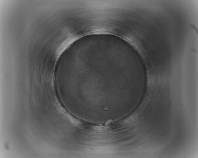 X0000102241277200807251251